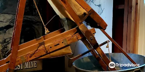 Hangtown's Gold Bug Park