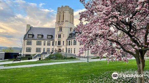 West Point Museum