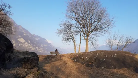 Parco Comunale delle Incisioni Rupestri di Luine