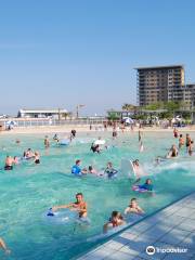 Darwin Wave Pool