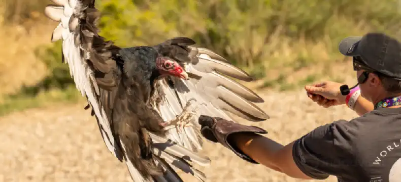 Hotels in Ada County