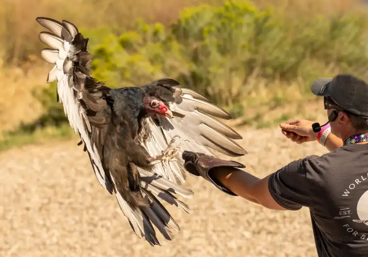 Hotels in Adan piirikunta