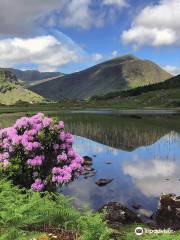 Dingle Darkroom