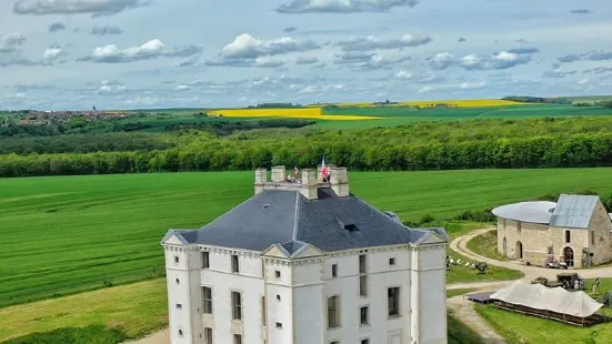 Chateau de Maulnes