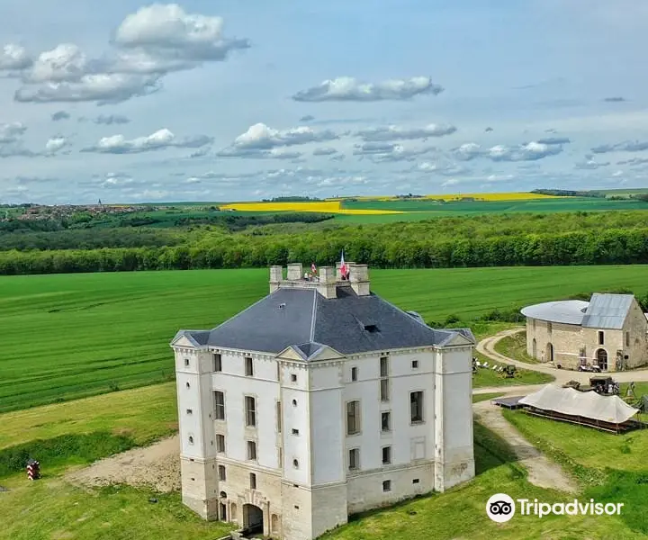 Chateau de Maulnes