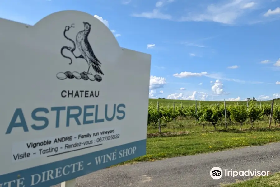 Chateau Astrelus