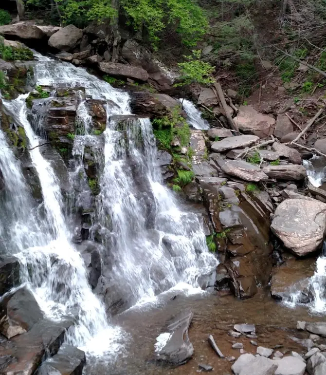 Shandaken