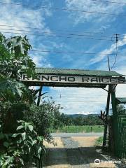 Rancho Raices de Osa