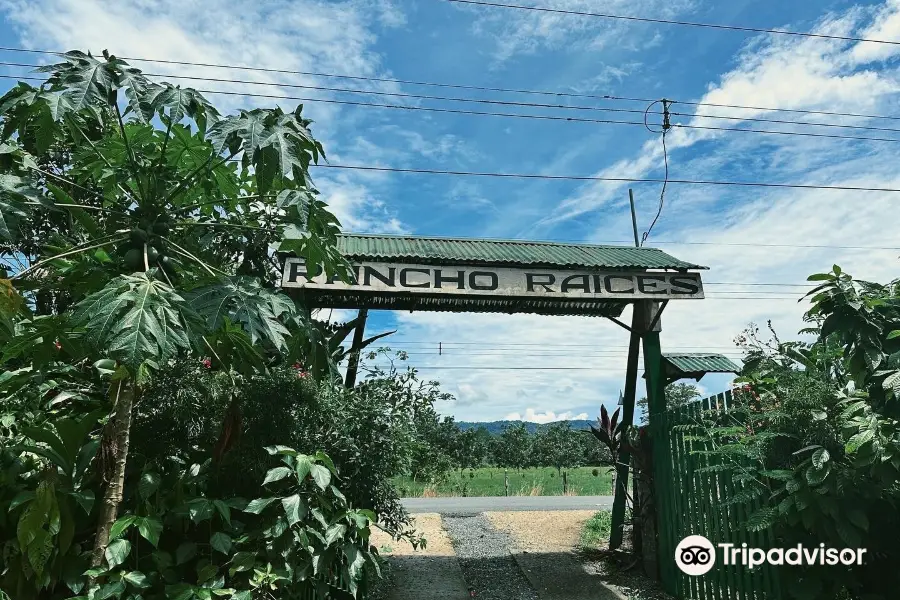 Rancho Raices de Osa