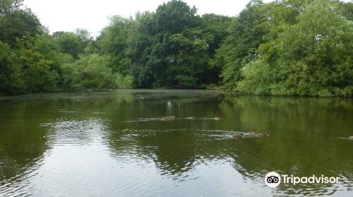 Sherdley Park