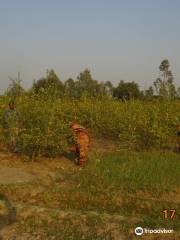 Children Park, Rangpur Zoo