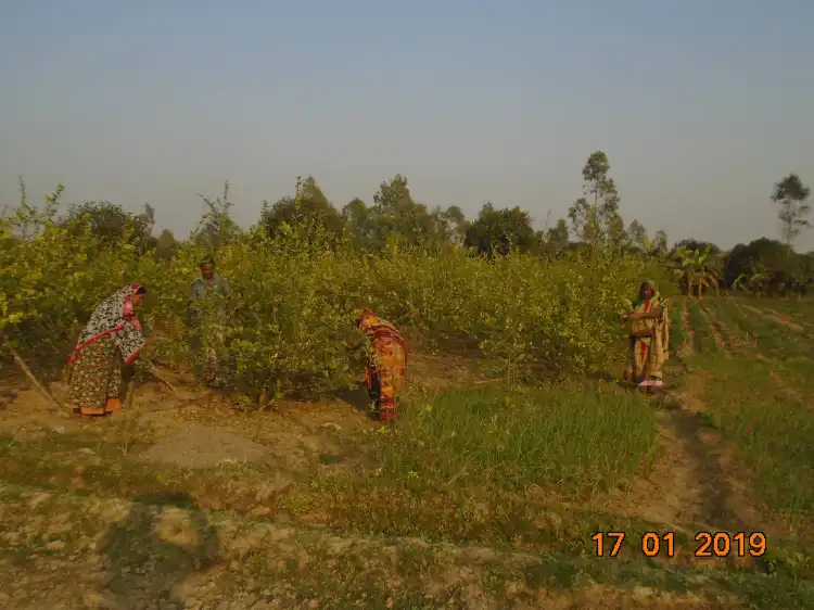 Rangpur Sadar