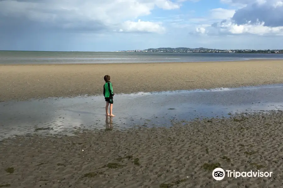 Sandymount Strand