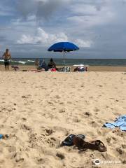 Fenwick Island State Park