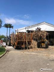 Foursquare Rum Distillery