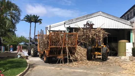 Foursquare Rum Distillery