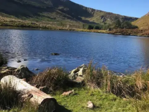 グランティーナシグ・フォレスト・パーク