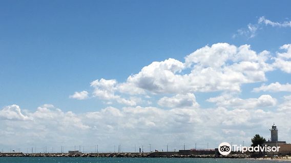 Lido The Little Mermaid