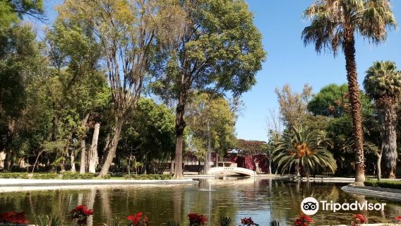 Parque Agua Azul
