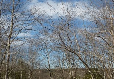 Little Canaan Wildlife Management Area