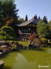 Japanese Bonsai Garden (Japanischer Bonsaigarten)