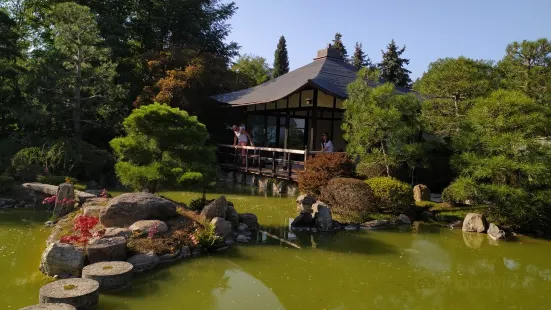 Japanese Bonsai Garden (Japanischer Bonsaigarten)