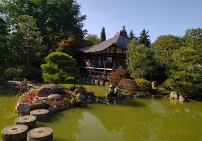 Japanese Bonsai Garden (Japanischer Bonsaigarten)