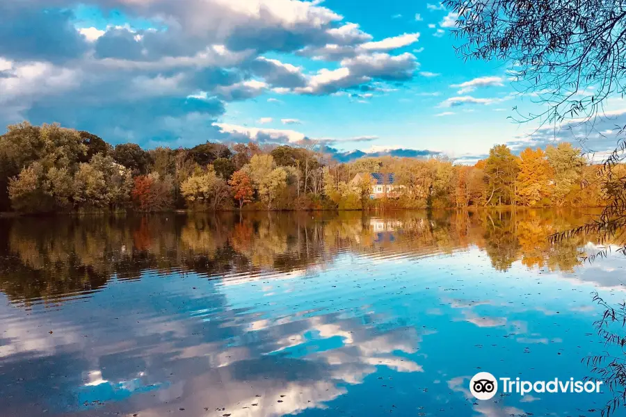 Turner Pond