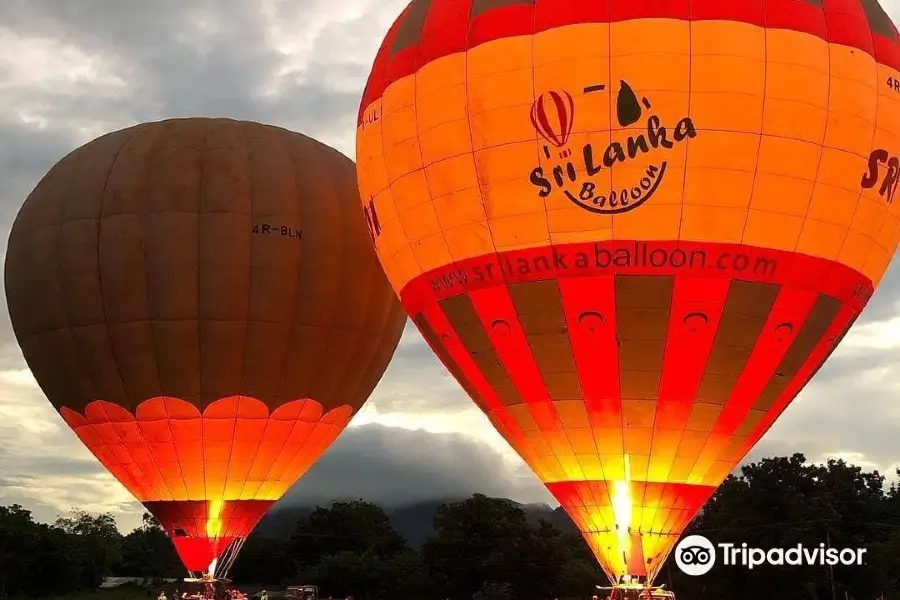 Hot Air Baloons