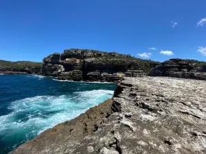 アブラハムズ・ボサム保護区