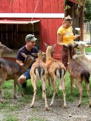 スモーキー・マウンテン・ディアー・ファーム・アンド・エキゾティック・ペティング動物園