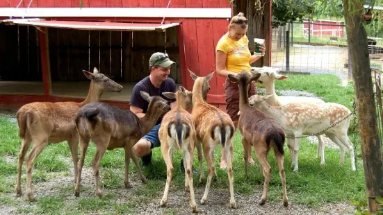 Smoky Mountain Deer Farm and Exotic Petting Zoo