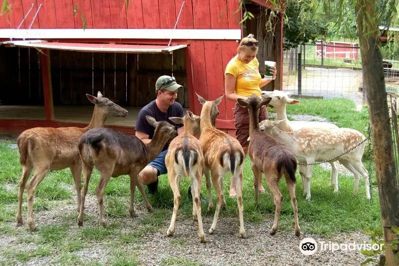 Smoky Mountain Deer Farm and Exotic Petting Zoo