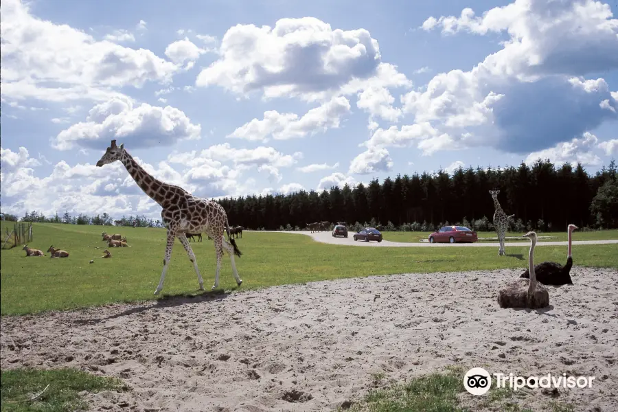 Givskud Zoo