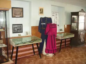 HIstory of Yenotaevka District Museum