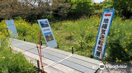 地球磁場逆転地層