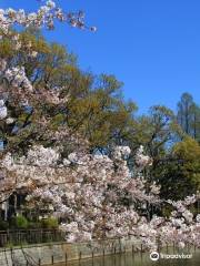 区立碑文谷公園