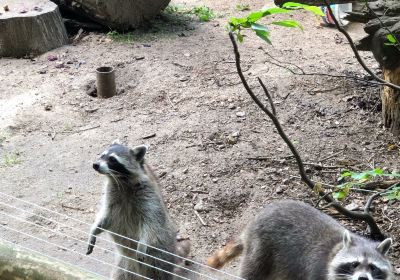 Tierpark Kunsterspring