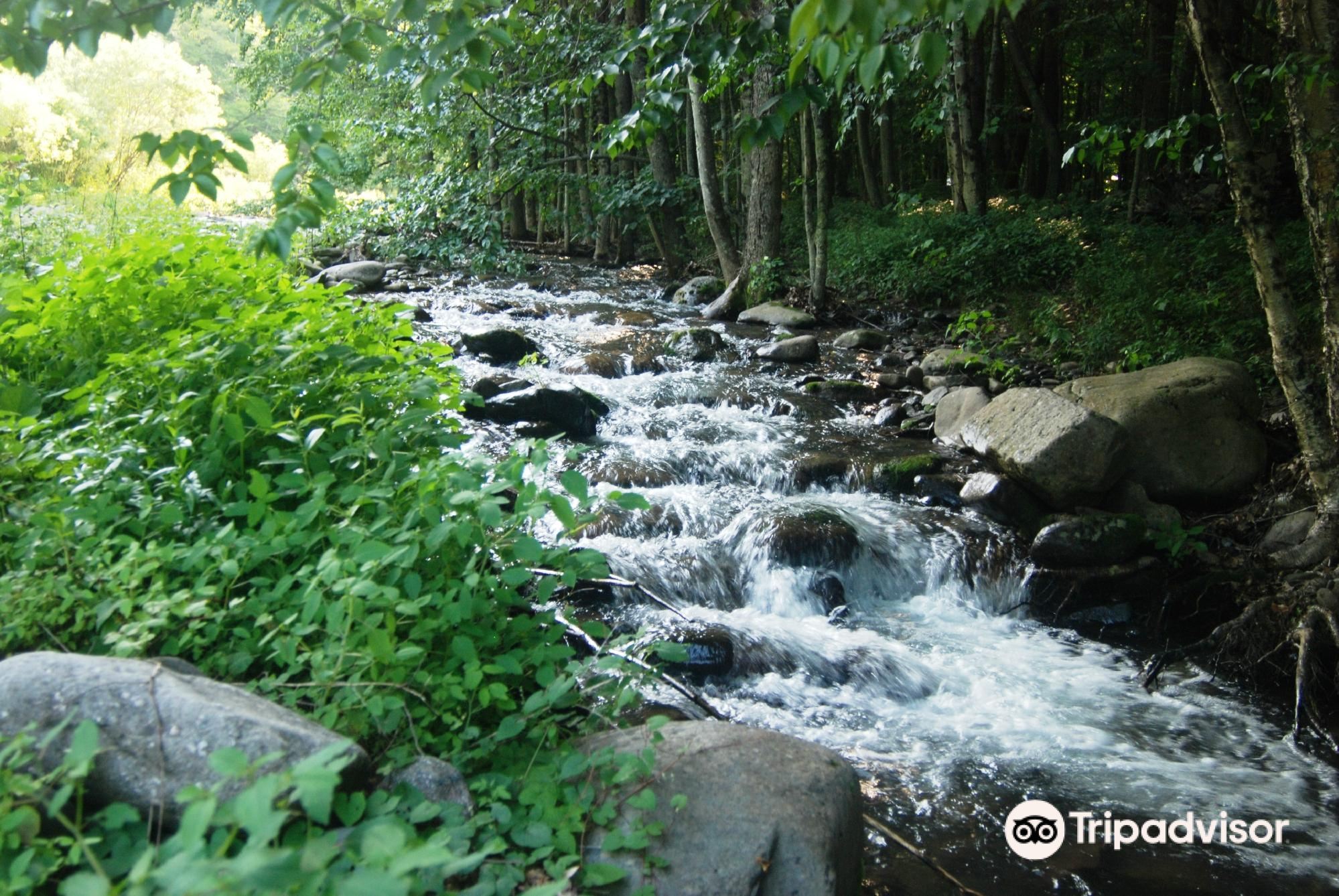 Stream Meaning in Hindi 