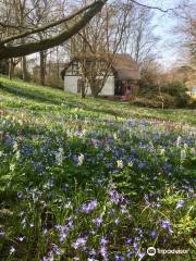 Alter Botanischer Garten