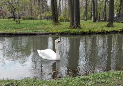 Żywiec Park