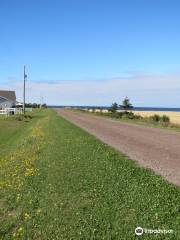 Malpeque Bay