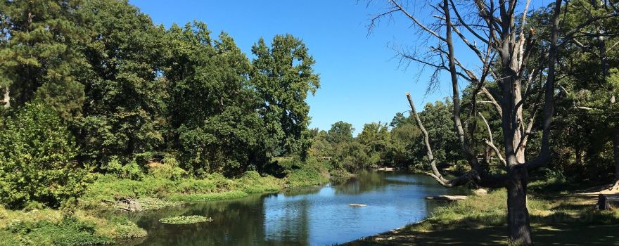 Bryan Park