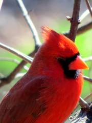 Red River National Wildlife Refuge