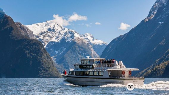 Mitre Peak Cruises