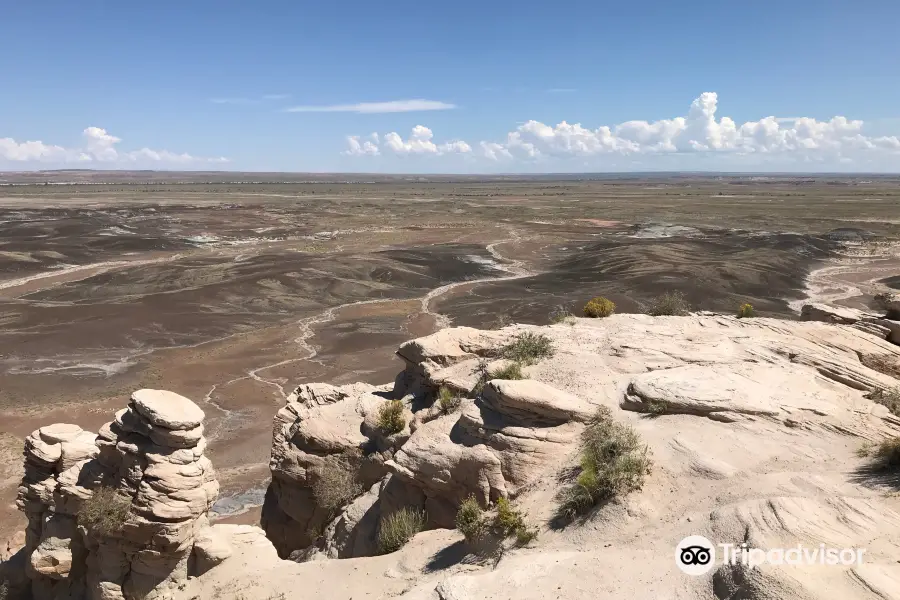 Blue Mesa