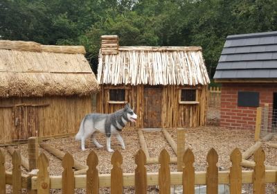 The Ark Open Farm