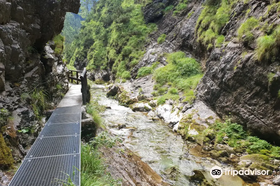 Wanderung durch die Weissbachschlucht