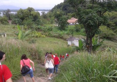 Cotinga Island