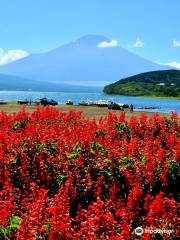 山中湖交流プラザ きらら